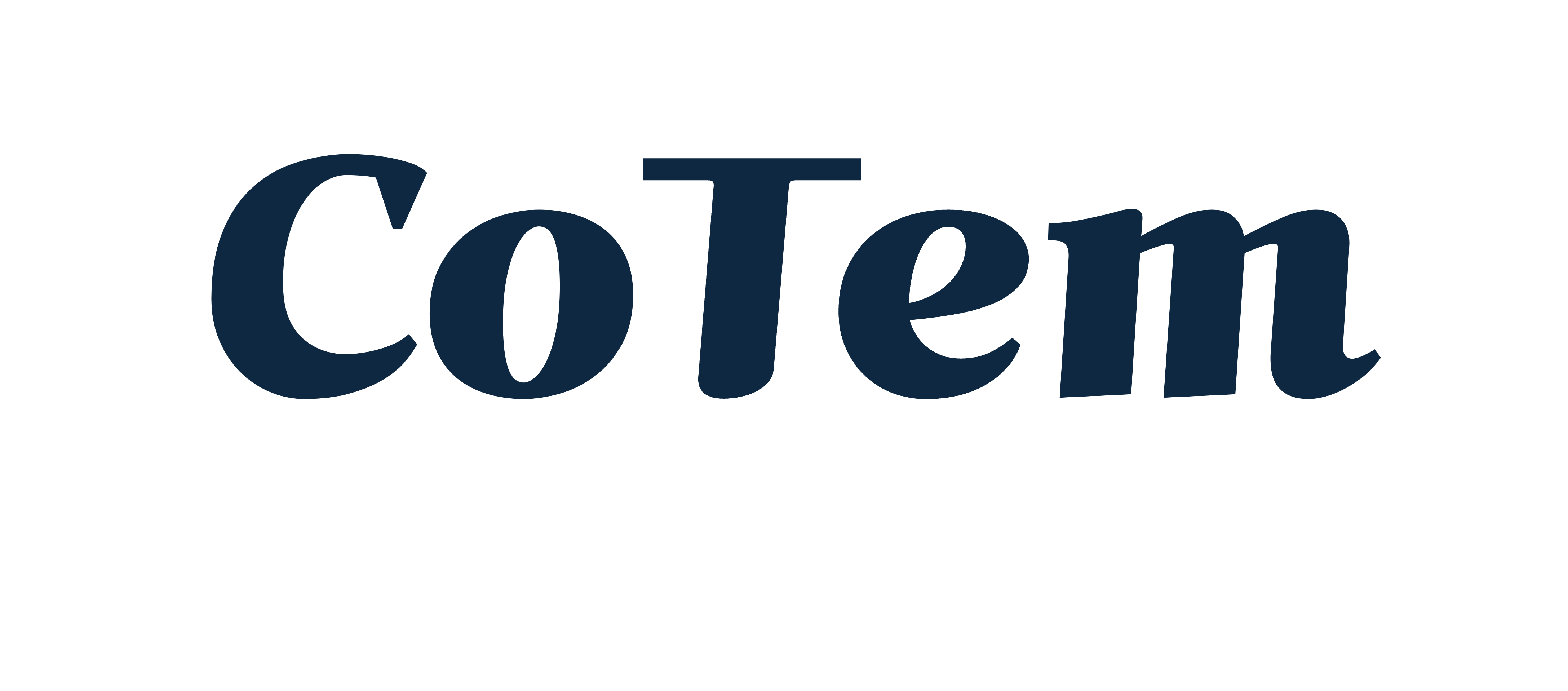 Logo Text